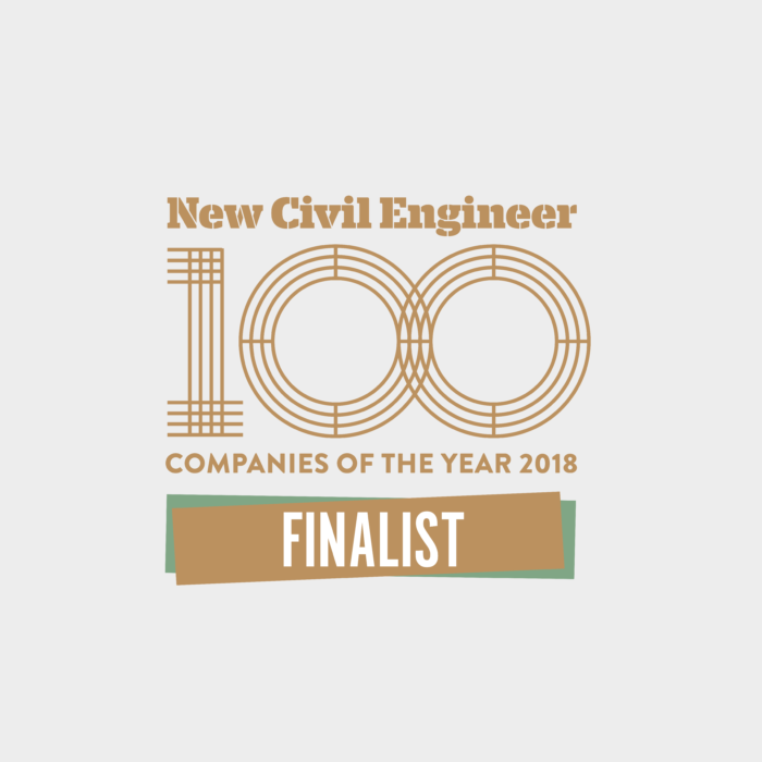 NCE100 Companies of the Year Finalist 2018 